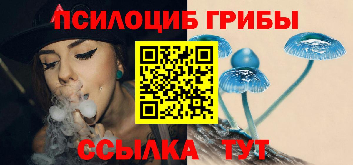 Псилоцибиновые грибы Psilocybine cubensis Вязьма